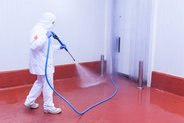 Best Sidewalk and Walkway Cleaning  in Eastpoint, FL
